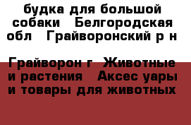 будка для большой собаки - Белгородская обл., Грайворонский р-н, Грайворон г. Животные и растения » Аксесcуары и товары для животных   . Белгородская обл.